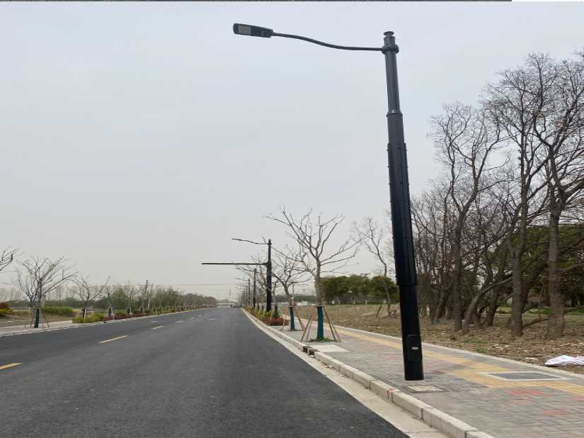 龙凤区上海综合杆 太阳能路灯工程